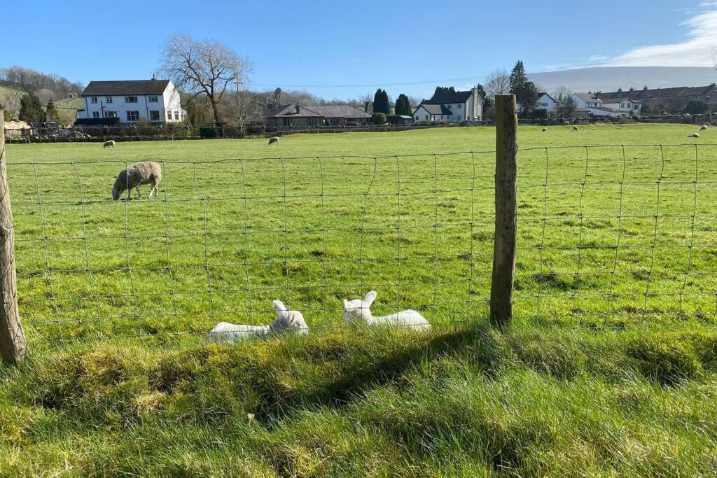 Sawley In The Forest Of Bowland - Cosy Cottage. كليثروي المظهر الخارجي الصورة